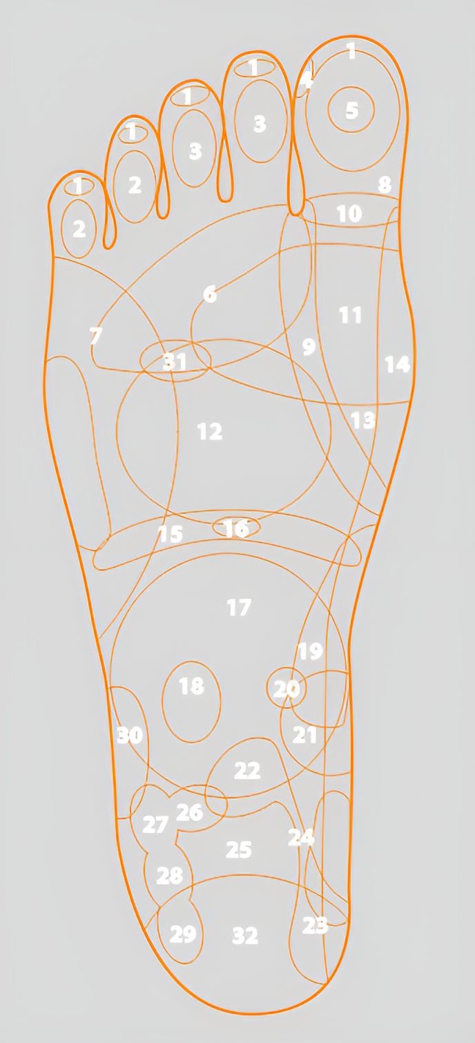 Mapa receptorów na stopach