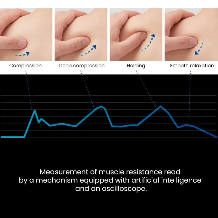 Massage Technology Inada Robo Massage Technology Inada Robo