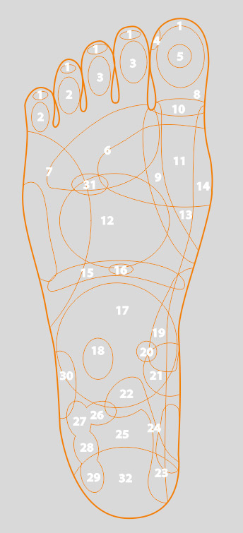 Mapa receptorów na stopach 